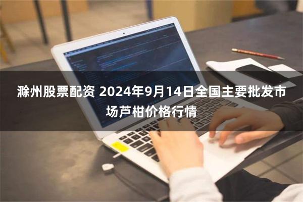 滁州股票配资 2024年9月14日全国主要批发市场芦柑价格行情