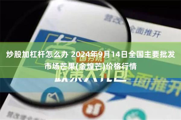 炒股加杠杆怎么办 2024年9月14日全国主要批发市场芒果(金煌芒)价格行情