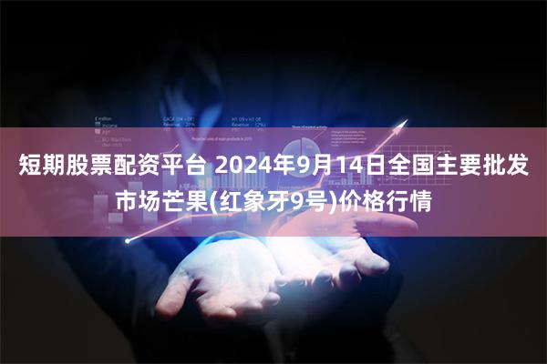 短期股票配资平台 2024年9月14日全国主要批发市场芒果(红象牙9号)价格行情