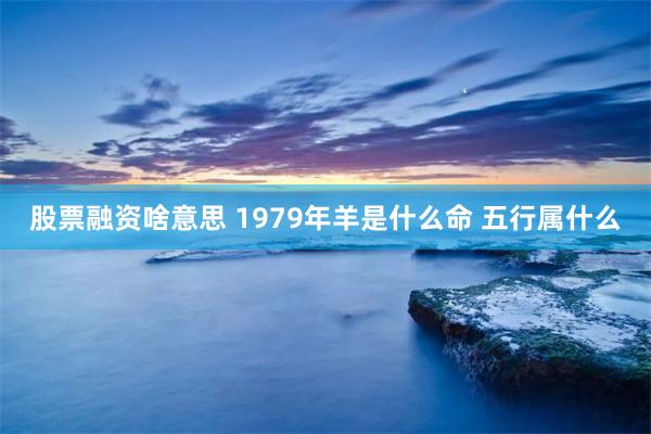 股票融资啥意思 1979年羊是什么命 五行属什么