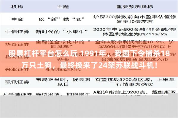 股票杠杆平台怎么玩 1991年，我国下令捕杀18万只土狗，最终换来了24架苏联战斗机！