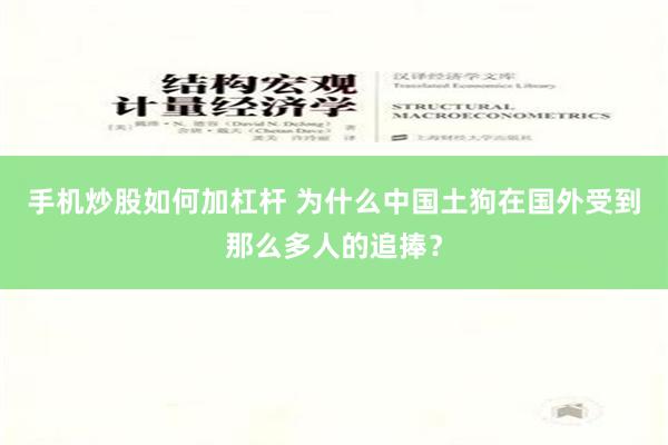 手机炒股如何加杠杆 为什么中国土狗在国外受到那么多人的追捧？