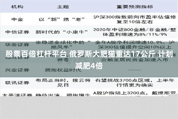 股票百倍杠杆平台 俄罗斯大肥猫重达17公斤 计划减肥4倍