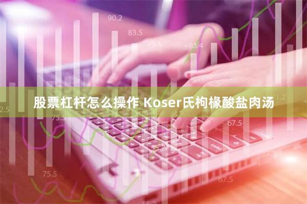 股票杠杆怎么操作 Koser氏枸椽酸盐肉汤