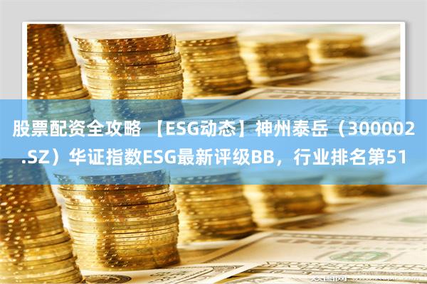 股票配资全攻略 【ESG动态】神州泰岳（300002.SZ）华证指数ESG最新评级BB，行业排名第51