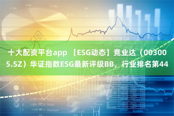 十大配资平台app 【ESG动态】竞业达（003005.SZ）华证指数ESG最新评级BB，行业排名第44