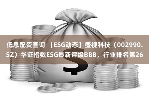 低息配资查询 【ESG动态】盛视科技（002990.SZ）华证指数ESG最新评级BBB，行业排名第26