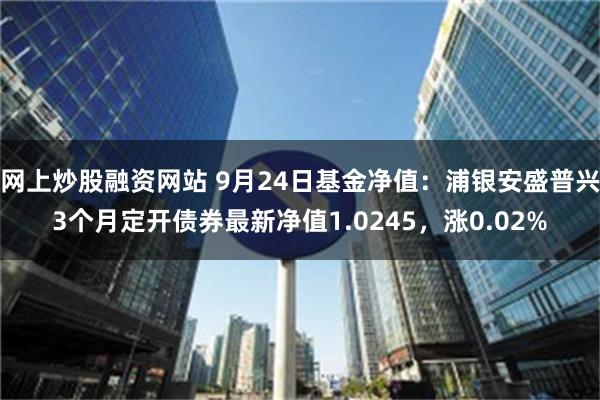 网上炒股融资网站 9月24日基金净值：浦银安盛普兴3个月定开债券最新净值1.0245，涨0.02%