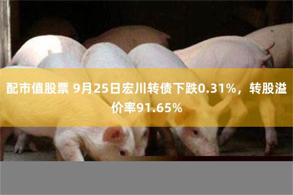 配市值股票 9月25日宏川转债下跌0.31%，转股溢价率91.65%