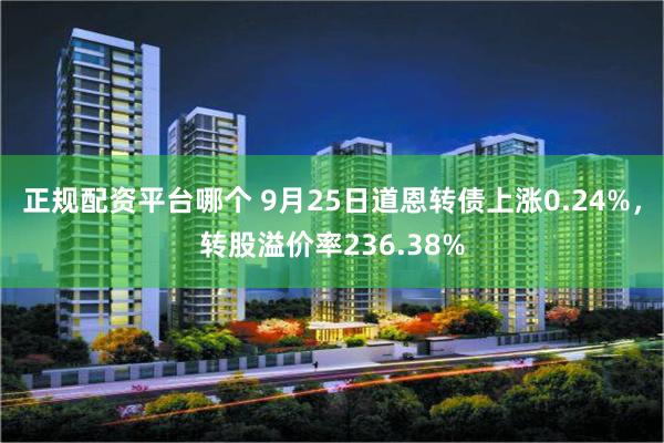 正规配资平台哪个 9月25日道恩转债上涨0.24%，转股溢价率236.38%