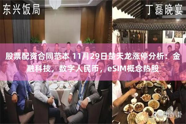 股票配资合同范本 11月29日楚天龙涨停分析：金融科技，数字人民币，eSIM概念热股