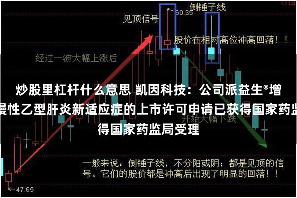 炒股里杠杆什么意思 凯因科技：公司派益生®增加成人慢性乙型肝炎新适应症的上市许可申请已获得国家药监局受理