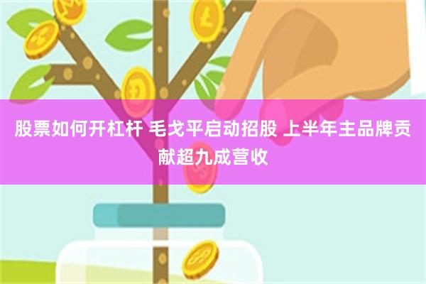 股票如何开杠杆 毛戈平启动招股 上半年主品牌贡献超九成营收