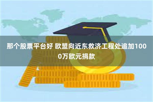 那个股票平台好 欧盟向近东救济工程处追加1000万欧元捐款