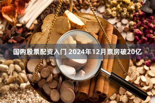 国内股票配资入门 2024年12月票房破20亿