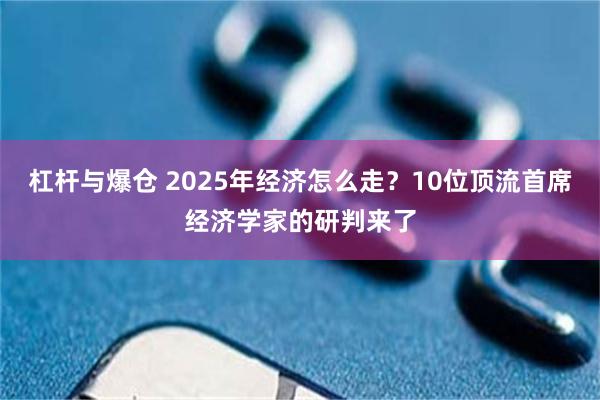 杠杆与爆仓 2025年经济怎么走？10位顶流首席经济学家的研判来了