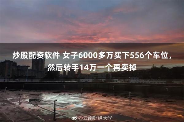 炒股配资软件 女子6000多万买下556个车位，然后转手14万一个再卖掉