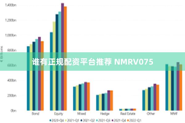 谁有正规配资平台推荐 NMRV075