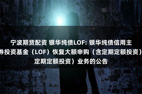 宁波期货配资 银华纯债LOF: 银华纯债信用主题债券型证券投资基金（LOF）恢复大额申购（含定期定额投资）业务的公告